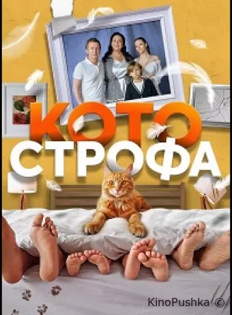 Котострофа