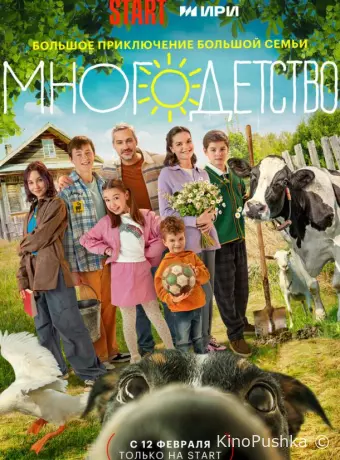 Многодетство