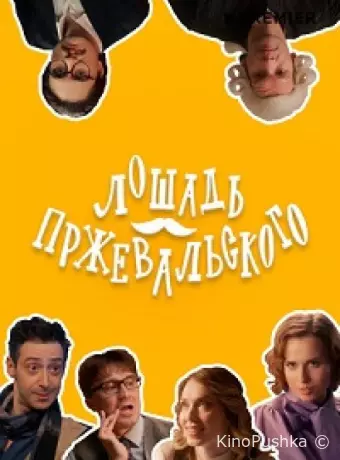 Лошадь Пржевальского