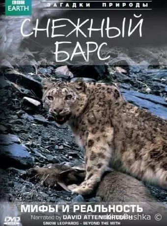 BBC: Снежный барс: Мифы и реальности