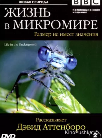 BBC: Жизнь в микромире