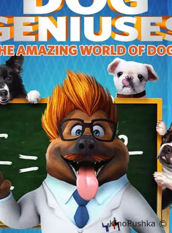 Dog Geniuses