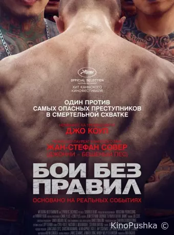 Бои без правил