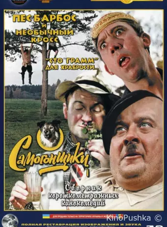 Пес Барбос и необычный кросс