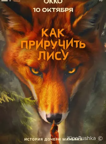 Как приручить лису